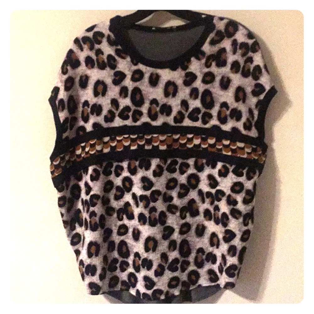 Zara Leopard top